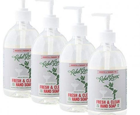 Rebel Green Fresh and Clean Liquid Hand Soap, Natural, Sulfate-Free, and Hypoallergenic Gel Hand Soap – Unscented, 16 Ounce Pump Bottles, Pack of 4 Review