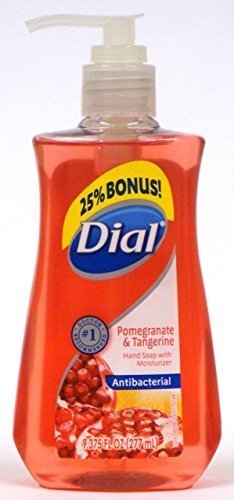 Dial Antibacterial Hand Soap with Moisturizers, Pomegranate & Tangerine, 9.375 Oz (Pack of 6)