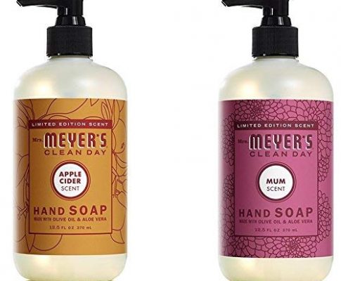 Mrs. Meyers Autumn Hand Soap Bundle: 2 items – (1) Mrs. Meyers Mum Hand Soap, (1) Mrs. Meyers Apple Cider Hand Soap Review