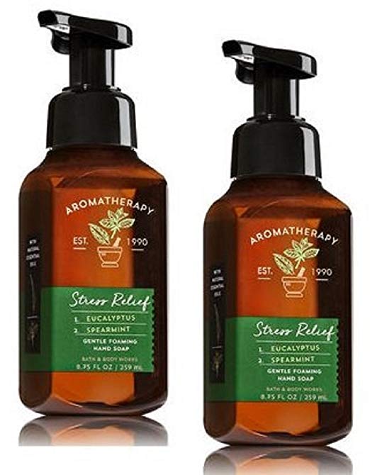 Bath and Body Works 2 Pack Aromatherapy Stress Relief Eucalyptus & Spearmint Gentle Foaming Hand Soap 8.75 Oz