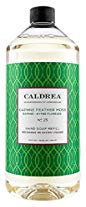 Caldrea Hand Soap Refill Daphne Feather Moss, 32 Fluid Ounce