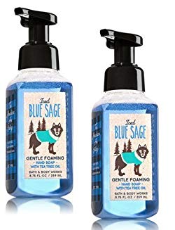 Bath and Body Works 2 Pack Iced Blue Sage Gentle Foaming Hand Soap. 8.75 Oz.