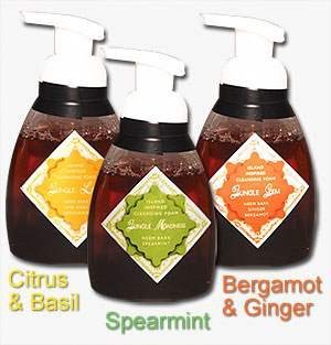 Neem Oil & Neem Bark Foaming Hand Soaps - Three Scent Variety Pack