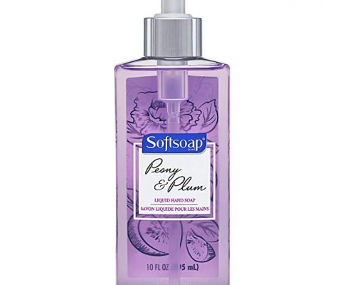 Softsoap Liquid Hand Soap, Peony and Plum – 10 fluid ounce (6 Pack) Review