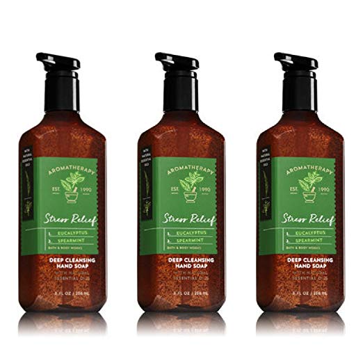 Bath & Body Works Aromatherapy Stress Relief Eucalyptus Spearmint Hand Soap (2018 Release) - 3 Pack