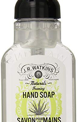 J.R. Watkins Foaming Hand Soap, Aloe & Green Tea, 9 ounce (Pack of 6) Review