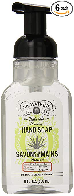 J.R. Watkins Foaming Hand Soap, Aloe & Green Tea, 9 ounce (Pack of 6)